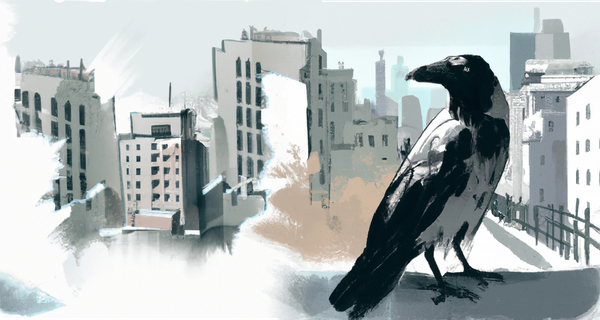 Project Raven